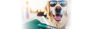 Petrol gorivo gratis 