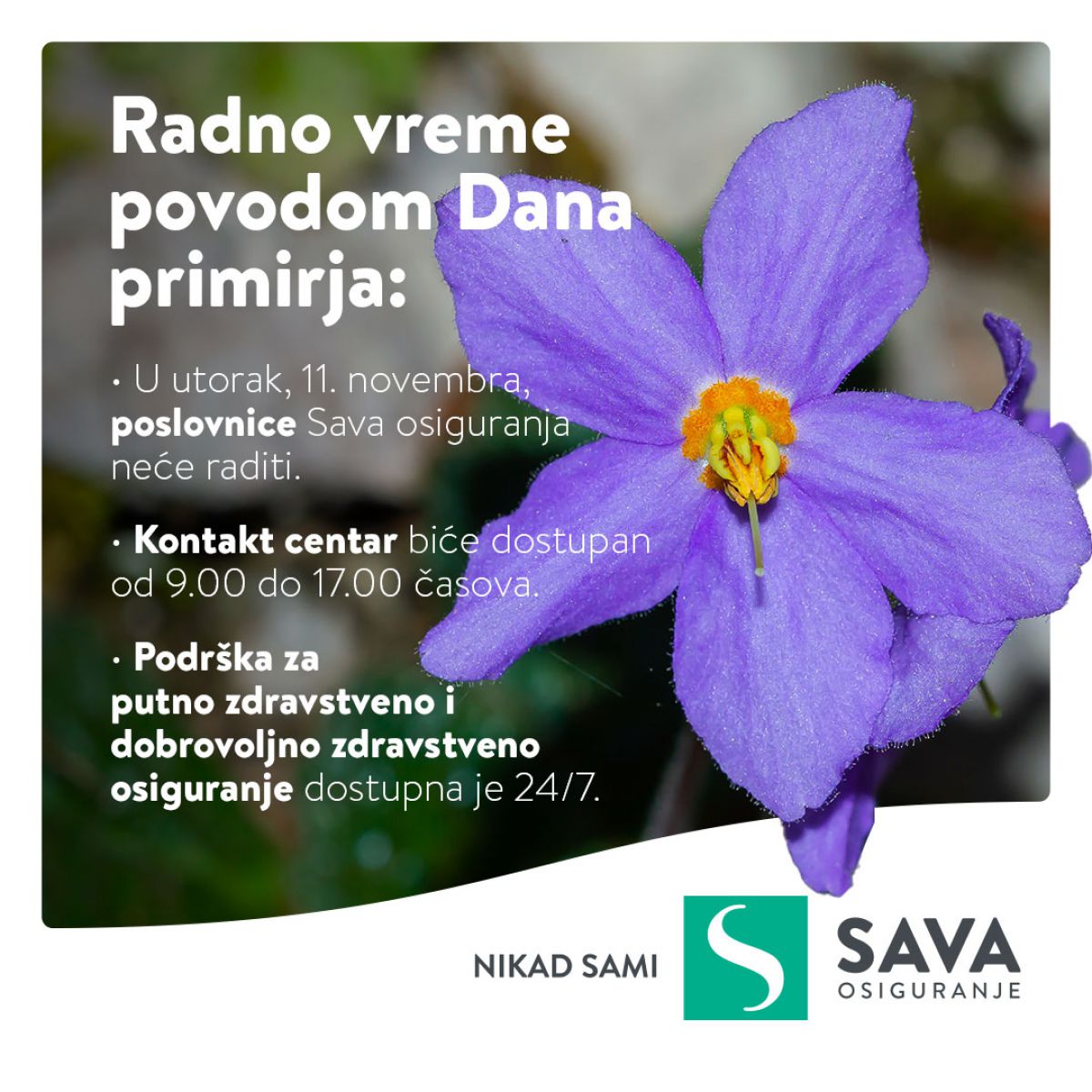 Radno vreme povodom Dana primirja