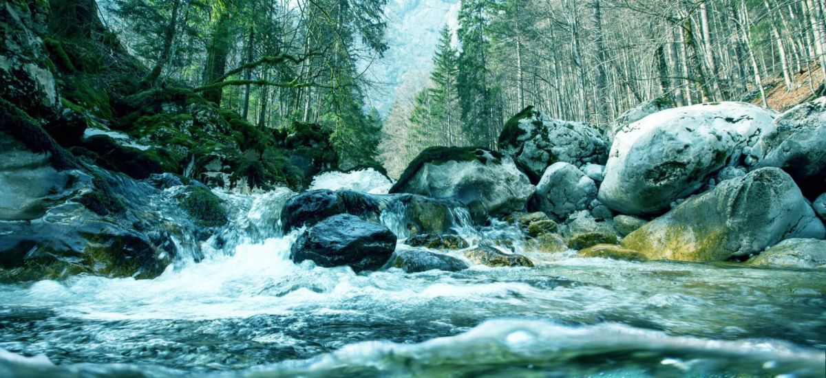Eticki kodeksi u Sava osiguranju