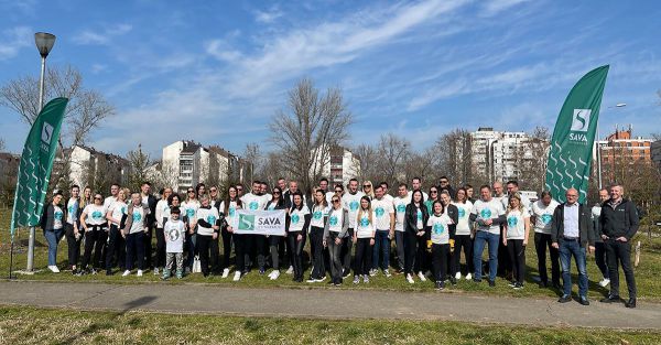 Zasadili smo četinare u bloku 44 u blizini reke Save